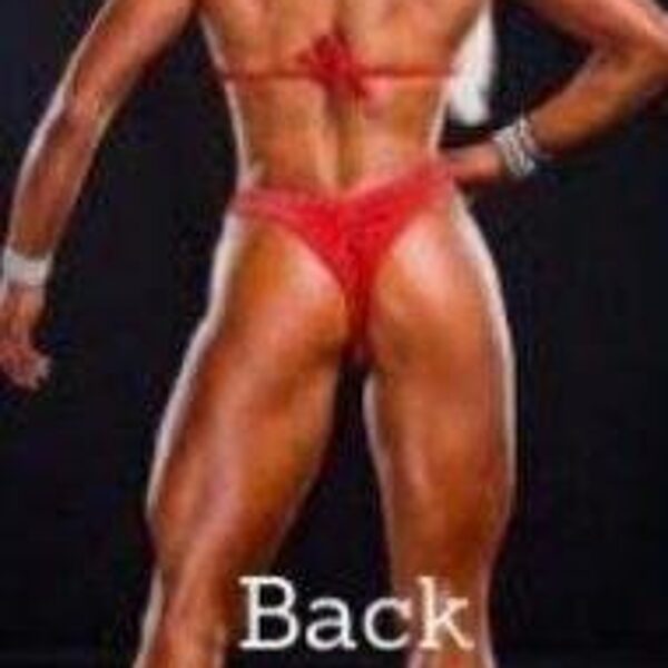 Back to the judges version II