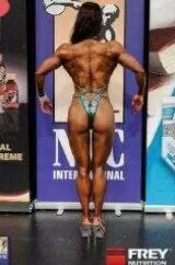 Back to the judges