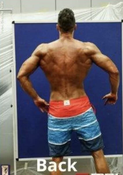 Back to the judges 